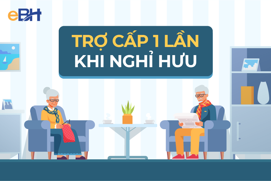 Chế độ Bảo hiểm xã hội tự nguyện - ảnh 3