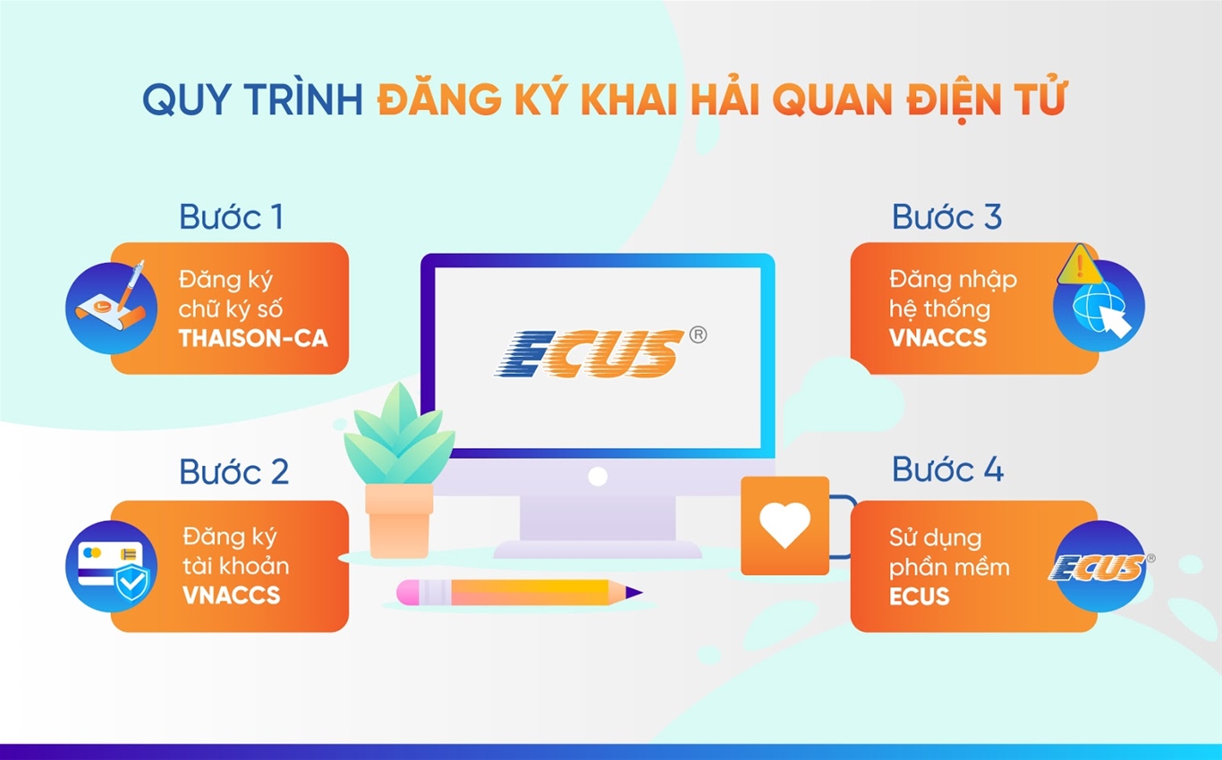 hải quan 2